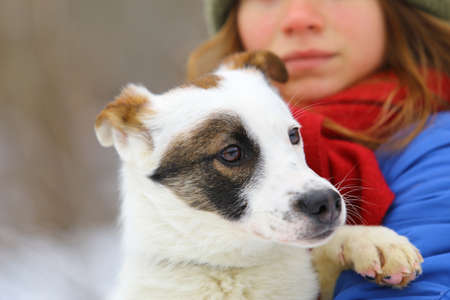 Young woman with her dog on the snow in winter.Girl hugging dog.Woman outdoors with her cute dog having fun.の写真素材