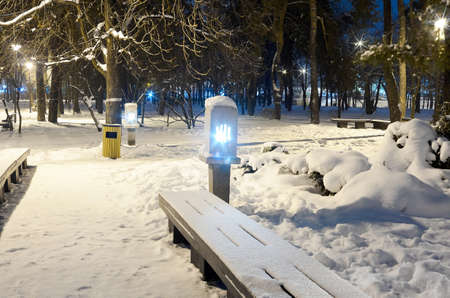 Snowy city park in light of lanterns at evening.Snow-covered trees and benches,footpath in a fabulous winter night park.Winter landscapeの写真素材