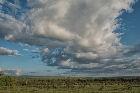Field trees and blue skyの写真素材