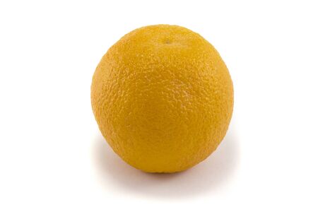 Images contains - orange on a white backgroundの写真素材