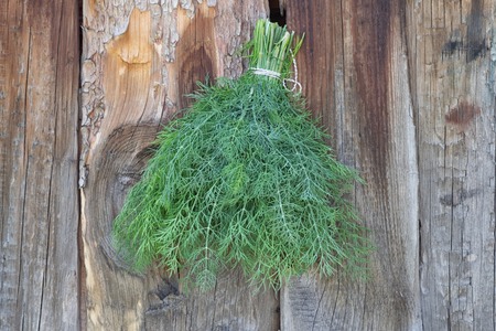 Fresh green dill on old wooden background. Top Viewの写真素材