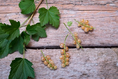 White currant and leaf on the wood background. Top viewの写真素材
