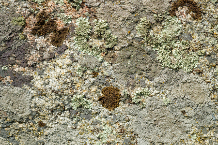 Ancient stone surface with moss and lichen.の写真素材