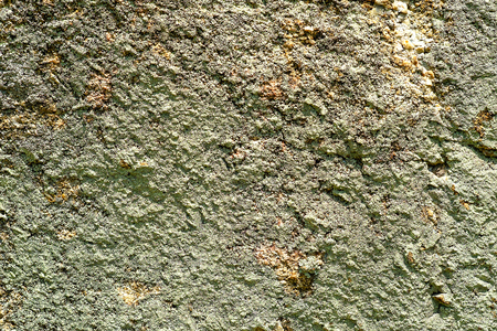 Ancient stone surface with moss and lichen.の写真素材