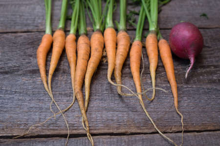 Fresh and sweet carrot on a grey wooden tableの写真素材