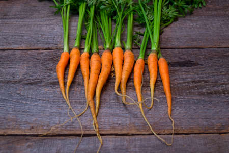 Fresh and sweet carrot on a grey wooden tableの写真素材