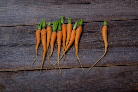 Fresh and sweet carrot on a grey wooden tableの写真素材