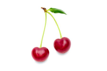 Cherry with leaves isolated on white background.の写真素材