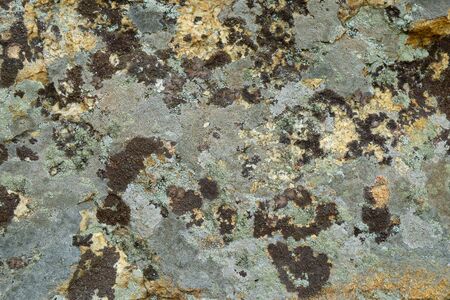 Stone texture of granite background with moss. Old abstract textureの写真素材