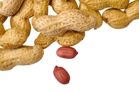 Dried peanuts in closeup isolatd on white background. Top View. Space for textの写真素材