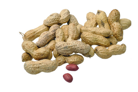Dried peanuts in closeup isolatd on white background. Selective focus