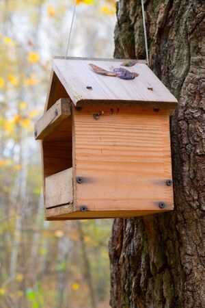 Old wooden birdhouse hanging on a treeの写真素材