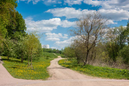 Road in the spring park. Tsaritsyno Parkの写真素材