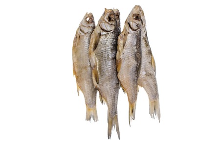 Dried salted roach fish on a isolated white background. Caspian roach salted fish