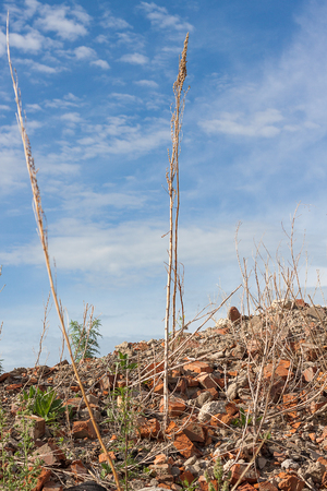 Broken pile of bricks on blue sky background. Ruined old buildingの写真素材