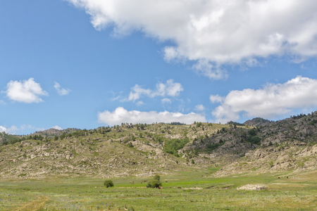 A beautiful summer landscape with a meadow with wildgrass high in the mountains against the backdrop of mountains, hills and a blue sky with cloudsの写真素材