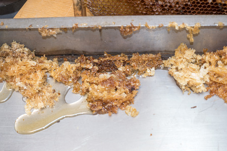 comb capping. Organic honey bee comb capping.の写真素材