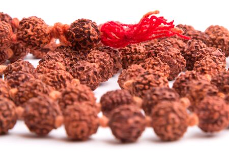 Seeds of the sacred tree rudrakshaの写真素材