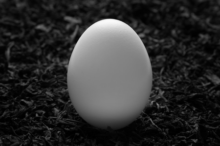 White egg standing on straw. Close-up