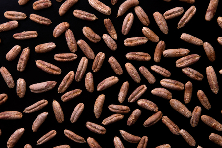 Seeds of the date palm on a black backgroundの写真素材