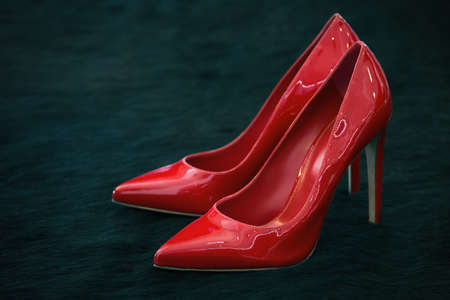 Red shoes on the skin of the beastの写真素材