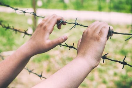 Hands and barbed wire. Territory with barbed wireの写真素材