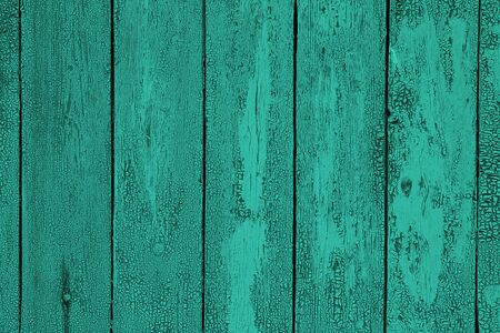 Green vintage background from a treeの写真素材