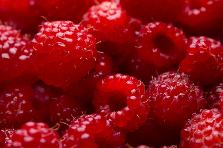 Ripe berry raspberries close-upの写真素材