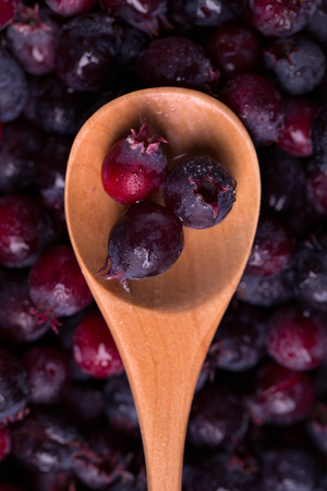 Shadberry  in a wooden spoon against the backdrop of many berriesの写真素材