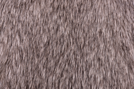 Fur rabbit close up.