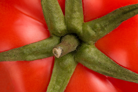 Red tomato closeup.の写真素材