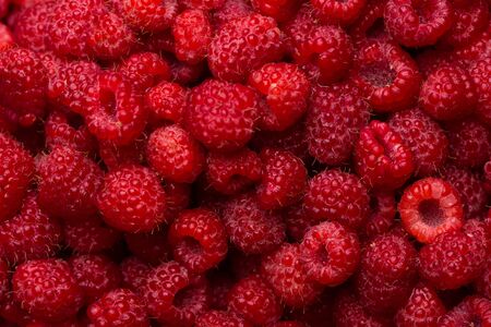 Ripe raspberry background.