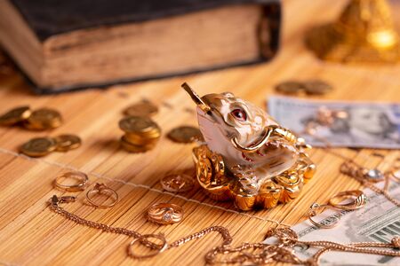 Money toad surrounded by money and gold jewelry. Symbol of money and well-being.の写真素材