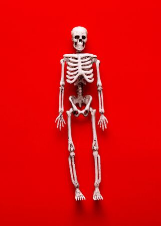 The figure of a skeleton on a red background.