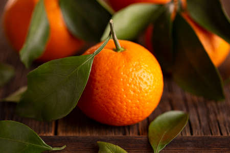 Ripe tangerine with a green leaf.の写真素材