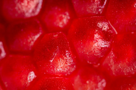 Pomegranate close-up. Macro shooting.の写真素材