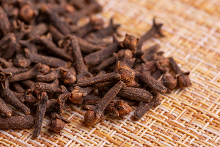 Close up of carnation seeds. Carnation seeds.の写真素材