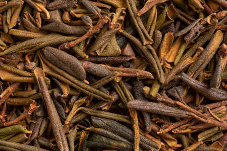 Dried Adams Rhododendron. Sagan Daila
