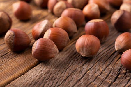 Hazelnut tree and hazelnuts. A scattering of hazelnuts.の写真素材