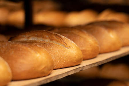 Fresh bread close up. Loaves of bread on the shelves.
