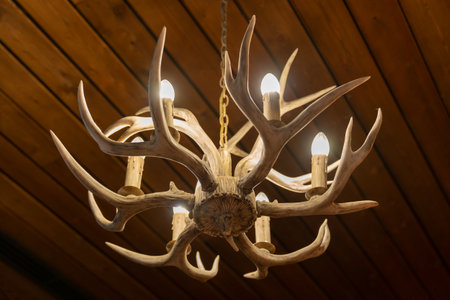 Chandelier horns. Unusual chandelier made of deer horns hanging indoors of home or hotel. Chandelier made of deer antlers on a wooden background.の写真素材