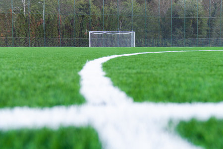 Football field. Young green grass on the football field.の写真素材