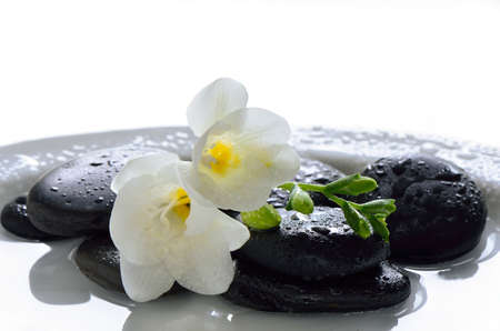 Wet spa stones in a water decorated with white flowersの写真素材