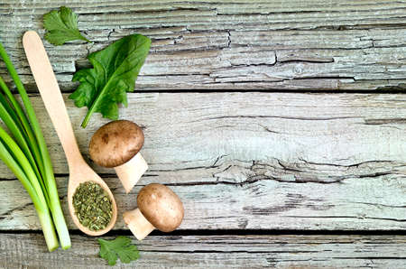 Green culinary background with mushroom and fresh herbsの写真素材