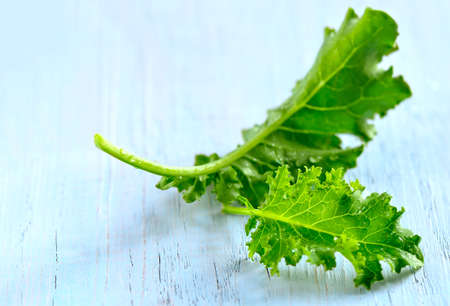 Freshly picked organic wet baby leaves of kale cabbage on a light blue background, selective focusの写真素材