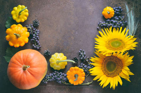 Autumn or Thanksgiving concept background, styliized photo