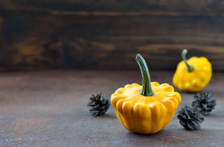 Squashes on a dark background, autumn conceptの写真素材