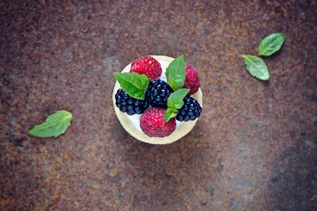 Summer dessert with fresh berries such as blackberry and raspberry and tender cream or greek yogurt filling, top view, selective focus, stylized imageの写真素材