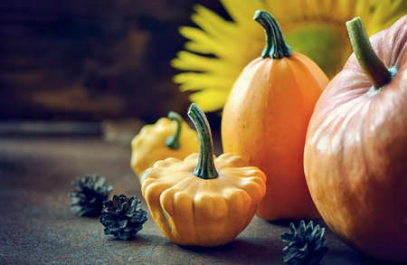 Autumn setting, pumpkins and patissons on dark background, selective focus, stylized imageの写真素材