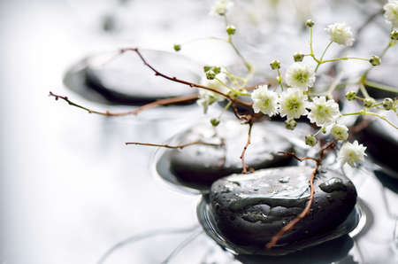 Spring branch under stones in water, spa spring conceptの写真素材